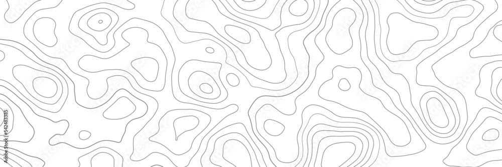 Topographic line map on white background. Vector illustration . Topographic line map on white background. Vector illustration .