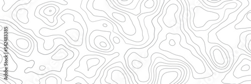 Topographic line map on white background. Vector illustration .