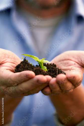 A male farmer holds a tree seedling in his hand to plant in the vegetable plot. Seedling plant sprout in soil. Concept agriculture farming