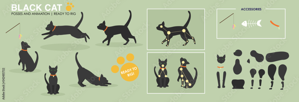 Cat position. Cat position