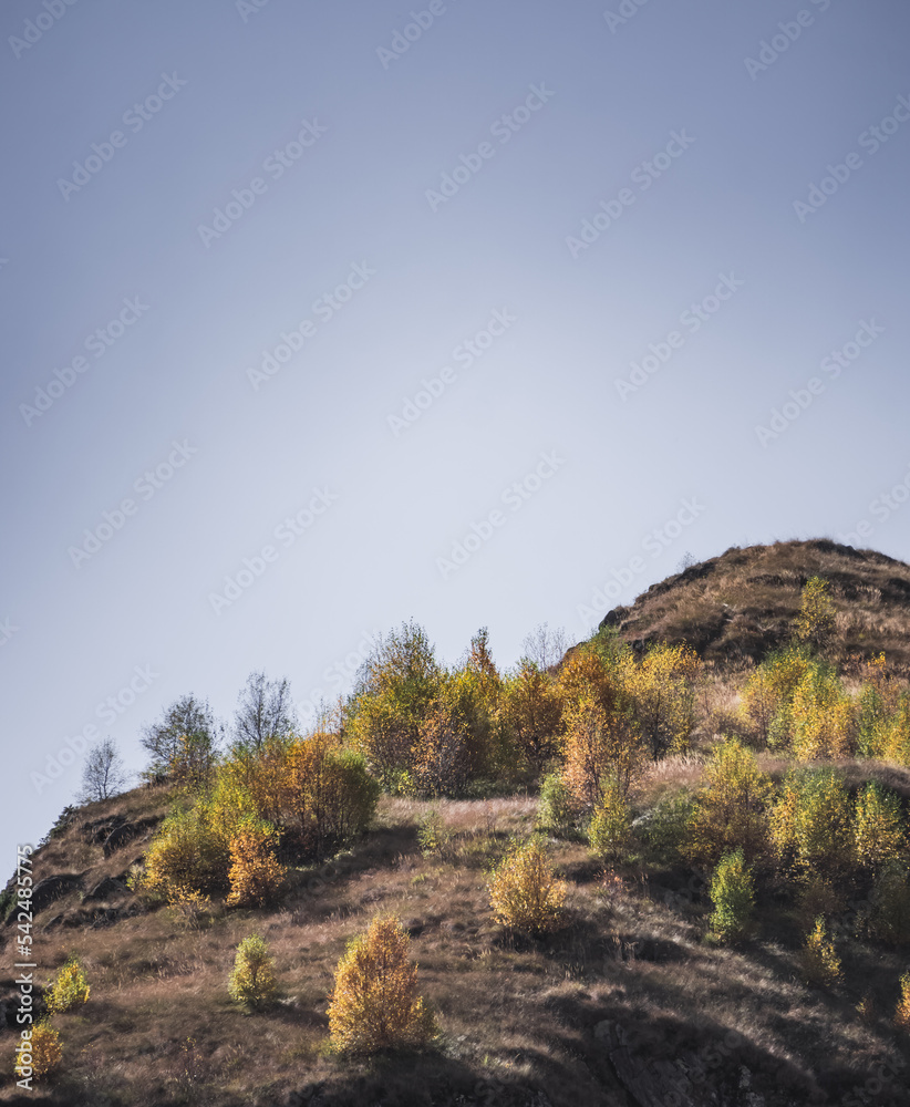 Hill in the mountains in autumn with vegetation in autumn and yellowed trees in October, sunny warm autumn day in the mountains