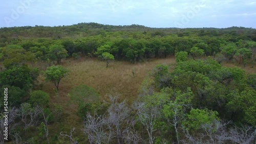 Ruvuma, Tanzania - September 26 2016: African forest, panorama photo