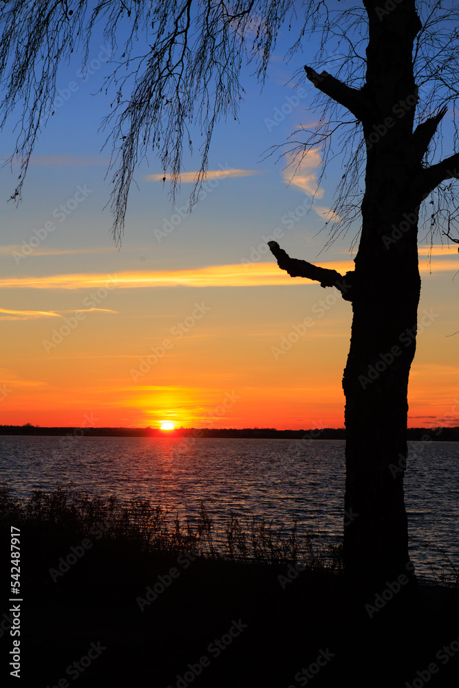 Sunset across the lake at a lone tree