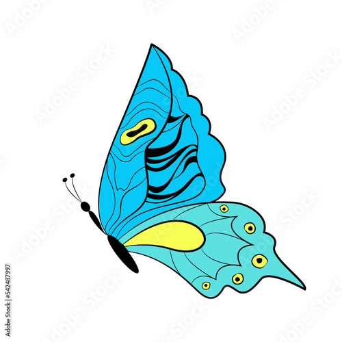 Butterfly exotic winged insect, vector illustration. Colored butterfly with large wings.