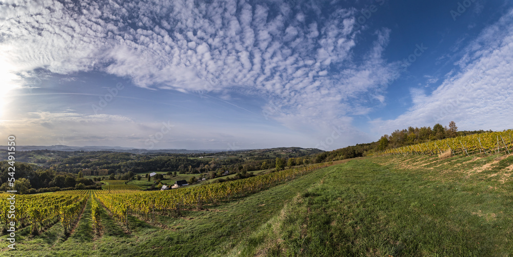 Naklejka premium Donzenac (Corrèze, France) - Vue panoramique sur les vignobles de la vallée de la Vézère en automne