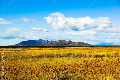 Beautiful shot of a rural bright brown field near the Rocky Mountains in the Midwestern Prairie photo