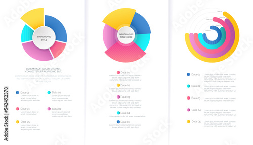 Colorful business pie chart infographic for presentation, reports, design. Vector illustration