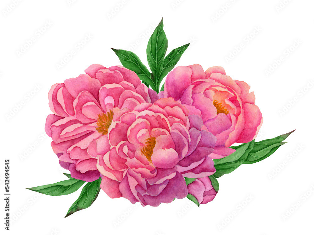 composition with flowers and peony leaves.