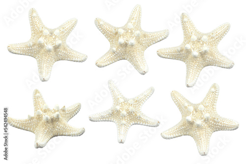set, starfish isolated from background