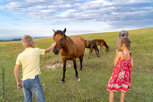 Wary boy and girl cautiously reach out to the horse and stroke it in the field in the mountains