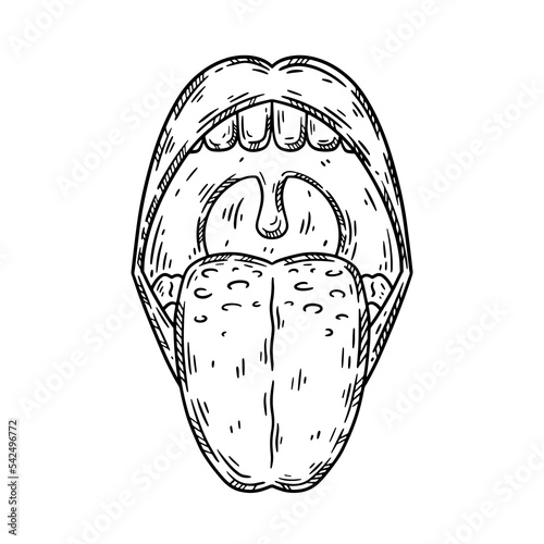 Open mouth with human tongue sticking out hand drawn sketch. Vector isolated illustration.