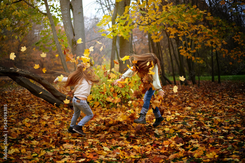 Children in the autumn park run, jump, and play among the colorful bright maple foliage. Autumn leaves are flying around. Copy space for your design. Children in the autumn park run, jump, and play among the colorful bright maple foliage. Autumn leaves are flying around. Copy space for your design.