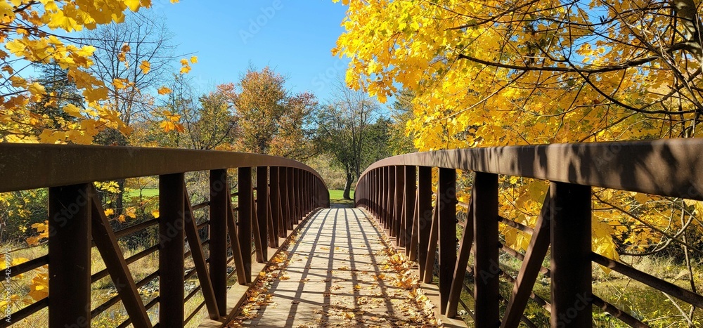 Naklejka premium Bridge in autumn park with yellow, golden leaves in Vineland, Ontario, Canada