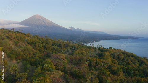 beautiful aerial view of green tropical jungle and ocean against distant volcanos and mountains. Drone camera flying above forest to village and blue mountain in summer. Film grain texture. Soft focus