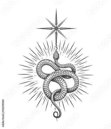 Snake of Wisdom Esoteric Tattoo Isolated on White