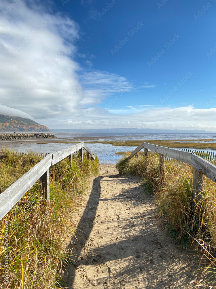 Passage entre les dunes pour accéder à la plage. Pont et clôture menant à l'océan. Chemin de sable vers la plage entouré de plantes, herbes hautes, en automne.