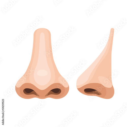 nose