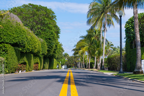 Bild auf Leinwand empty highway with yellow marking and palm trees on avenue