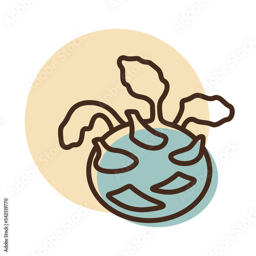 Kohlrabi or German Turnip isolated vector icon