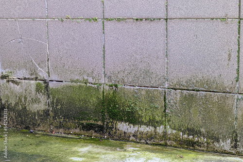 Damage caused by water leakage on building wall outside. Rainwater runs down the wall and damages the exterior. Green moss growing on wet tile wall and concrete pavement photo