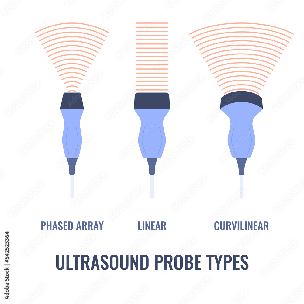 Ultrasound probe types diagram. Linear, curvilinear and phased array  transducers set with different sound waves frequency. Medical sonography  concept. Vector illustration. Stock Vector | Adobe Stock