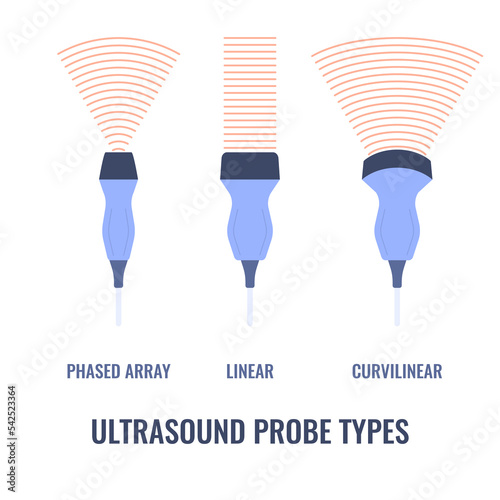 Ultrasound probe types diagram. Linear, curvilinear and phased array transducers set with different sound waves frequency. Medical sonography concept. Vector illustration.
