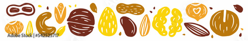 Vector horizontal pattern of a collection of nuts drawn by hand in the style of a doodle
