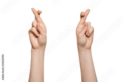 Woman's hand at which fingers are crossed photo