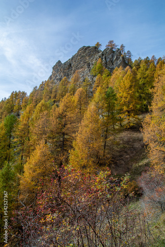 Ai piedi del Monte Oronaye  l   autunno in Valle Maira  nel sud del Piemonte