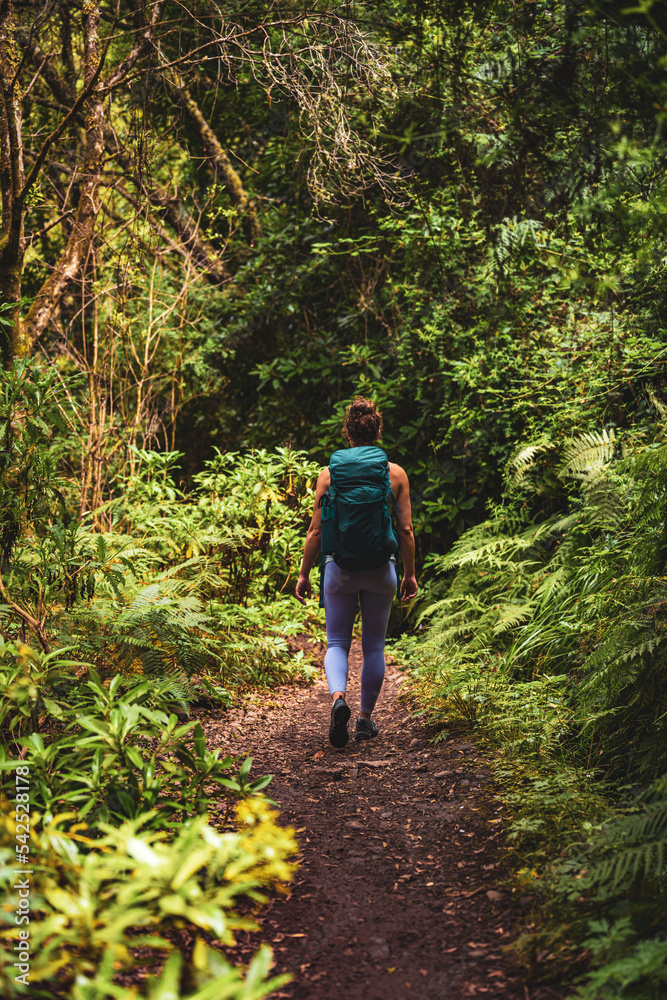 Athletic woman walks through adventurous jungle path along green overgrown path. Levada of Caldeirão Verde, Madeira Island, Portugal, Europe.