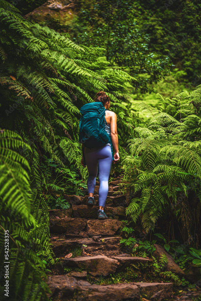 Athletic woman walks up strais on adventurous jungle path with many farns. Levada of Caldeirão Verde, Madeira Island, Portugal, Europe. Athletic woman walks up strais on adventurous jungle path with many farns. Levada of Caldeirão Verde, Madeira Island, Portugal, Europe.