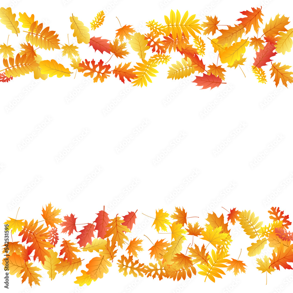 Oak, maple, wild ash rowan leaves vector, autumn foliage on white background. Oak, maple, wild ash rowan leaves vector, autumn foliage on white background.