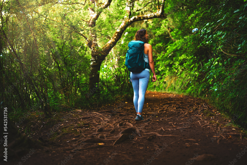 Sporty woman walking on beautiful green flowery jungle path along water channel. Levada of Caldeirão Verde, Madeira Island, Portugal, Europe. Sporty woman walking on beautiful green flowery jungle path along water channel. Levada of Caldeirão Verde, Madeira Island, Portugal, Europe.