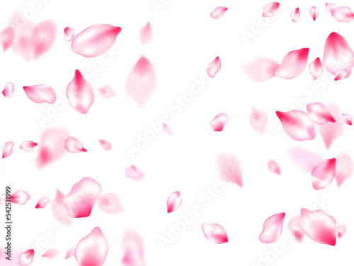 Spring tree flowers parts, airy flying petals