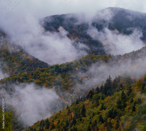 Morning fog in the mountains