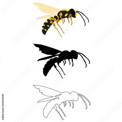 Vector illustration in three styles outline, silhouette, flat design, on the theme of an insect wasp in flight.