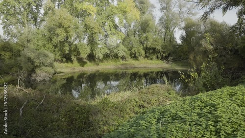 Slower pan across a small pond that is already showing signs of drying out due to the dryness at the edges