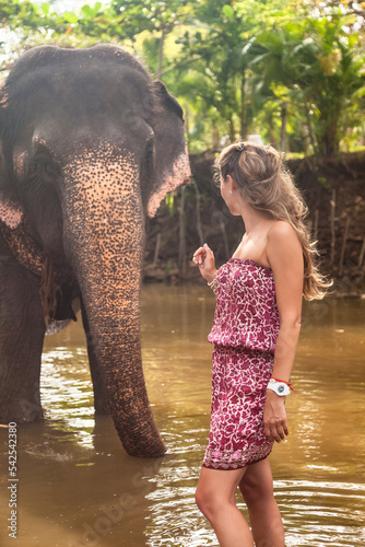 Pretty young woman tourist un summer clothe posing about elephant in countryside Sri Lanka, looking him. Lady tourist journey at jungle river background. Travel vacation concept. Copy text space
