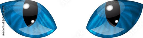 Cat eyes in blue colors