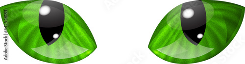 Cat eyes in green colors