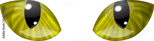 Cat eyes in yellow colors