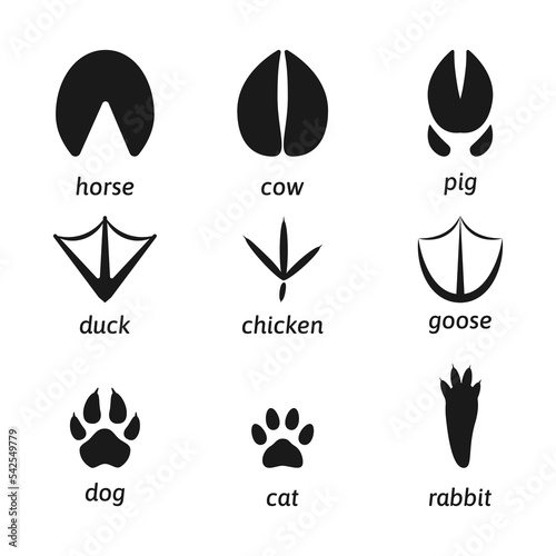 Animal footprints silhouette flat set