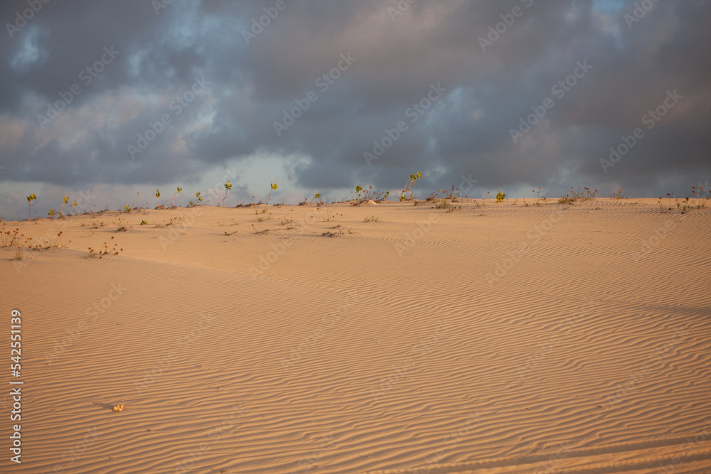 The Sand Dunes near the small town of Combuco, Brazil, Ceara 