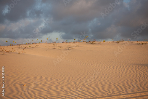 The Sand Dunes near the small town of Combuco  Brazil  Ceara 
