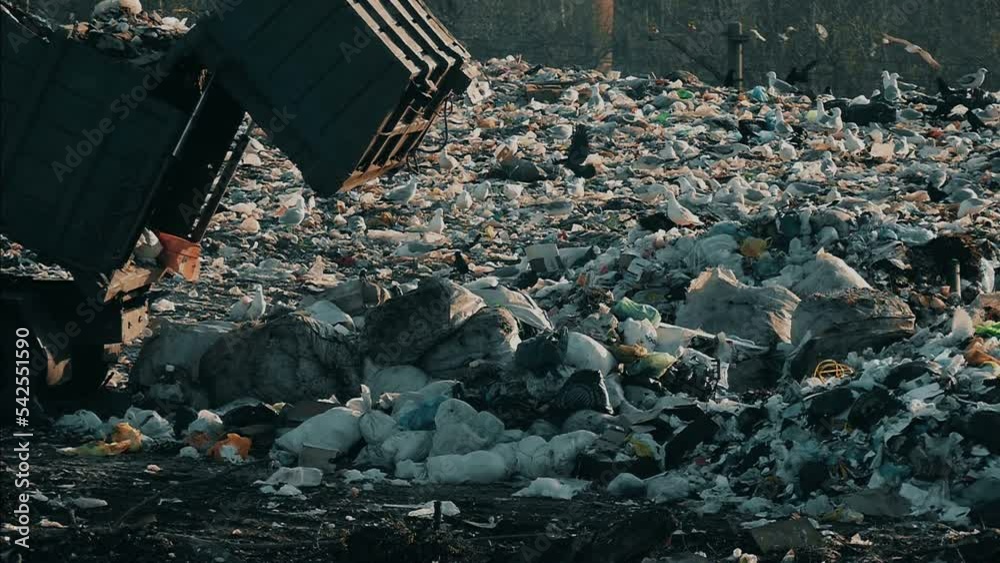 Unsorted trash footage. Pollution of nature with waste. Dump background. Garbage can in slow motion. Wild birds in the landfill. Garbage truck unloads city waste. 