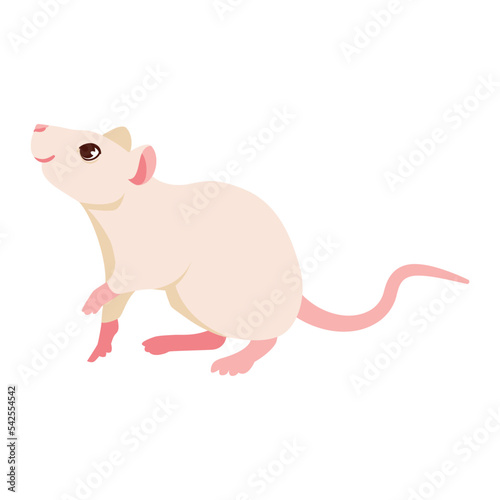 Isolated rat character chinese zodiac symbol Vector