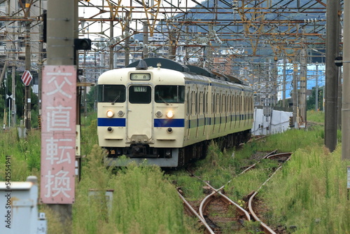 雑草の生い茂る駅に入線するローカル列車