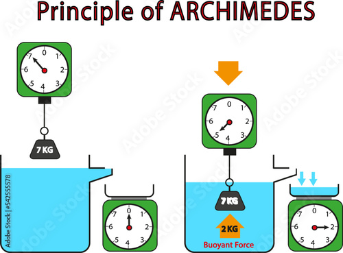 Archimedes principle vector illustration. Floating force illustration