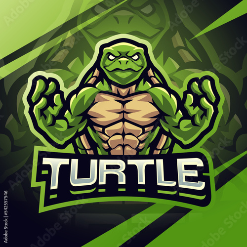 Turtle fighter esport mascot logo design