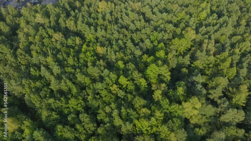Drone flight over a large forest against the setting sun. The concept of forests, lots of trees and greenery. Aerial view to forest and trees. Drone flight over a large forest against the setting sun. The concept of forests, lots of trees and greenery. Aerial view to forest and trees.